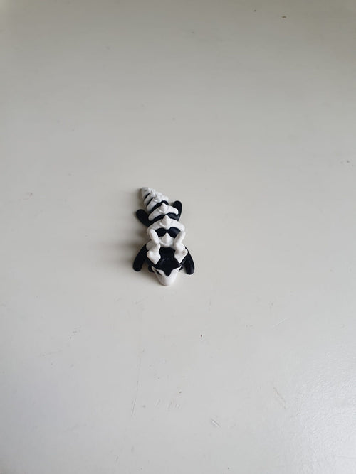 skelet draak